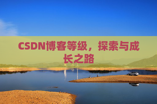 CSDN博客等级,探索与成长之路